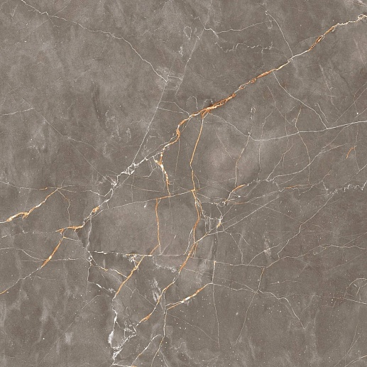 Shinestone Grey Pol 59.8x59.8 - фото 1