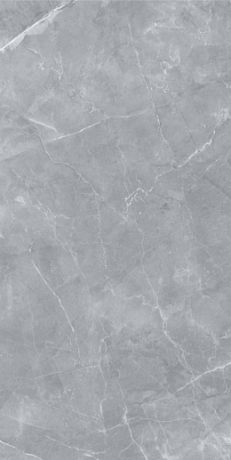 Silk 60x120 Gilio Matt - фото 1