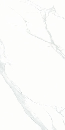 Bright And Shiny Statuario - Ntt9106p 60x120 - фото 1
