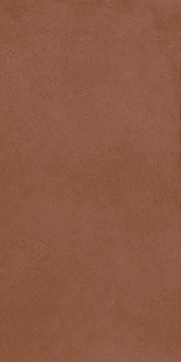 Nuances Fiamma 60x120 - фото 1