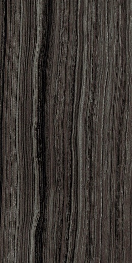 Suite Black 60x120 - фото 1