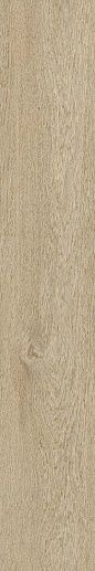 Ossimori Avorio Extra Matt Rett 20x120 - фото 1