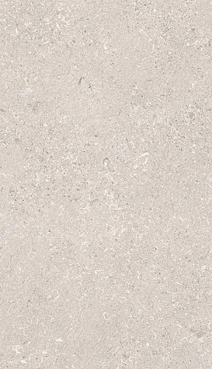 MaPierre Noble Gris Naturale Rett. 60x120 - фото 1