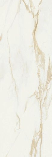Adaggio Gold Rectificado 40x120 - фото 1