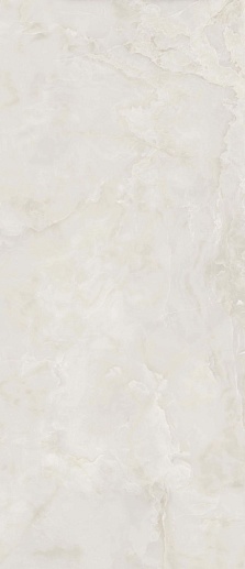 Anima Ever Royal Onyx 119.5x278 - фото 1