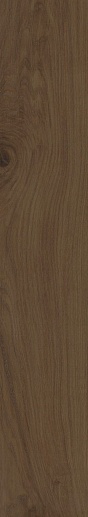 Century Brown - 221991 25x150 - фото 1