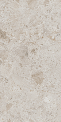 Petra Taupe Matt. Rect. 60x120 - фото 1