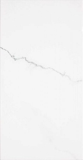 Corinto Blanco 31x60 - фото 1