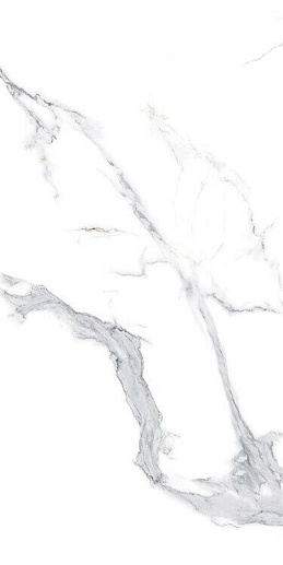 Velo Bianco Polished 60x120 - фото 1