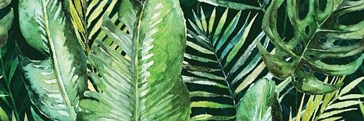 Braga Tropic A Rect 25x75 - фото 1