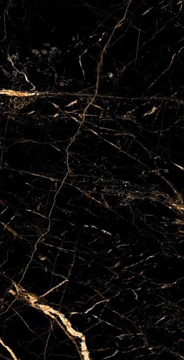 Supreme Black Gold 60x120 - фото 1