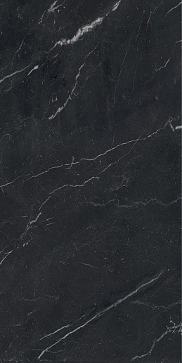Anima Futura Unique Black Luc 60x120 - фото 1