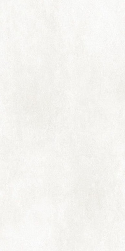 Icon White Sat Ret 60x120 - фото 1