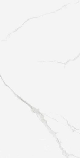 Marble Carara Glos. 60x120 - фото 1