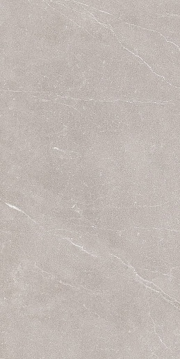 Ebri Gris 31.5x63 - фото 1