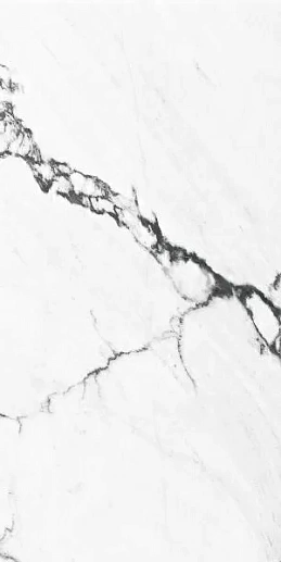 Calacatta Black Polished Rect 60x120 - фото 1
