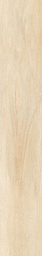 Cedar Бежевый Matte 75x150 - фото 1