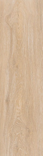 Viggo Arce 20x75 - фото 1