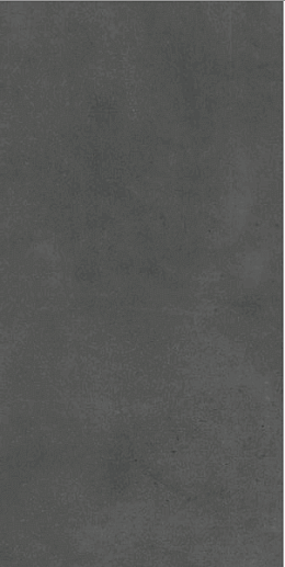 Evoque Coal 60x120 - фото 1
