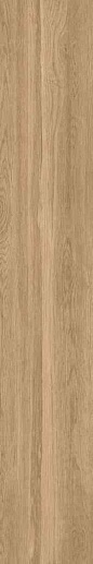Novela Nut 20x120 - фото 1