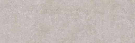 C-Stone Grey 100x300 - фото 1