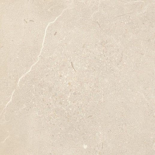 Sunnydust Beige 59.8x59.8 - фото 1