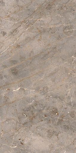 Granite Bardilio Classic 60x120 - фото 1