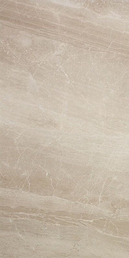 Kashmir Hueso 60x120 - фото 1