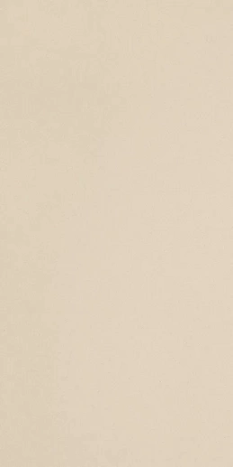Icon Cream 12L 60x120 - фото 1