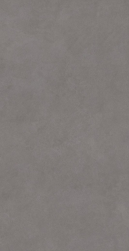 Inspire Gris Mate Rectificado 60x120 - фото 1