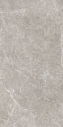 HolyStone Grey 61x122.2 - фото 1