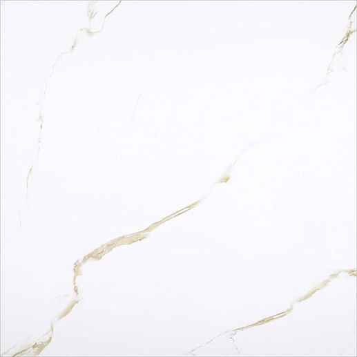 Porcelain Golden Carrara 60x60 - фото 1