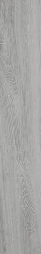 Windwood Gris Ext 20x120 - фото 1