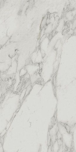 Italian Marble Arabesque White Matt 60x120 - фото 1