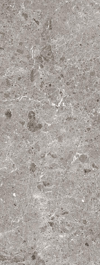 Coverlam Artic Gris Pulido 120x260 - фото 1