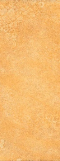 Maiolica Ocra 10x30 - фото 1