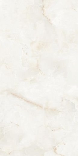 Les Bijoux AlabastRo-R Polished 59.3x119.3 - фото 1