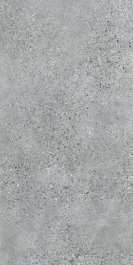 Terrazzo Grey 119.8x59.8 - фото 1