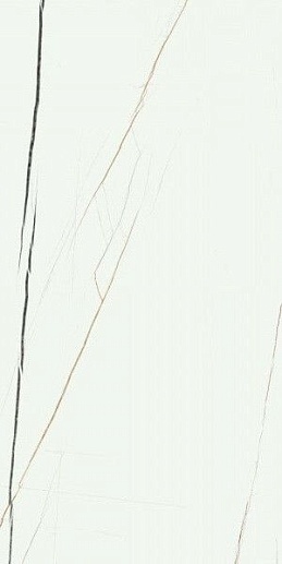 Symphony White pul. 120x60 - фото 1