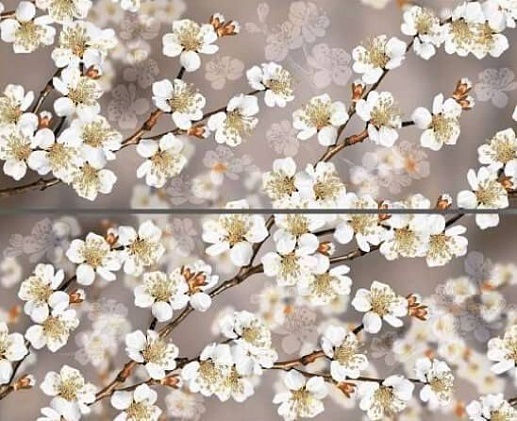 Amati Sakura 50.5x40.2 - фото 1