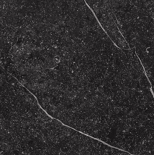 Genus GNSG 60N RM 60x60 - фото 1