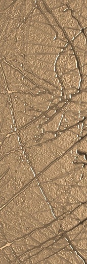Reflet Aurore Rf 03 Sketch 20x60 - фото 1