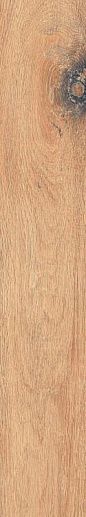 Brigantina BG 01 19.4x120 - фото 1