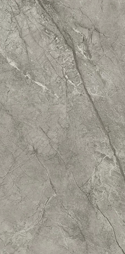 Marvel Meraviglia Silver Majestic Lappato 60x120 - фото 1