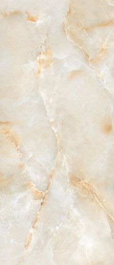 Titanium Onix Delicato Polished 120x278 - фото 1