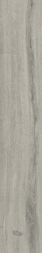 Liverpool Steel 20x120 - фото 1