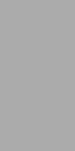 Monocolors Elite Grey 60x120 - фото 1
