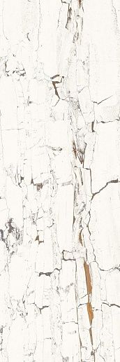 Leonardo White Gloss 30x90 - фото 1