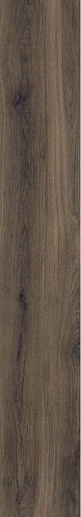 Alami Brown Str 19x 119.8 - фото 1