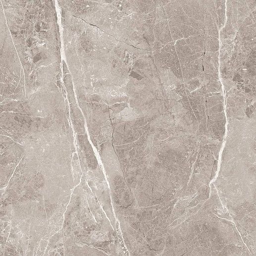Obsidian Grey Полированный 60x60 - фото 1